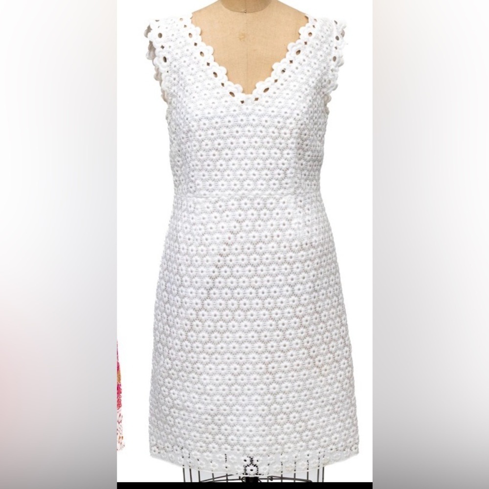 Lilly Pulitzer Reeve Shift Dress Beautiful Size 8
